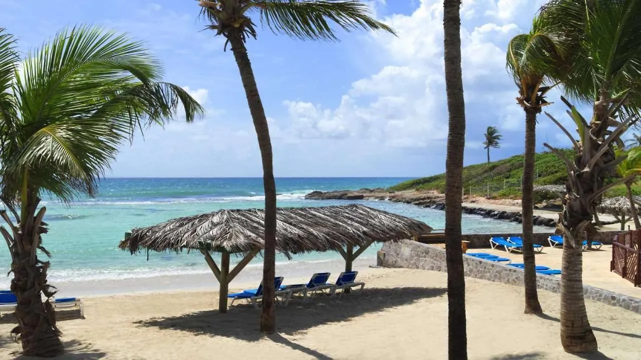 Studio 25 M Manganao Joela 4 Personnes Avec Machine A Laver (Adults Only) Saint-Francois  Saint-Francois (Grande-Terre)